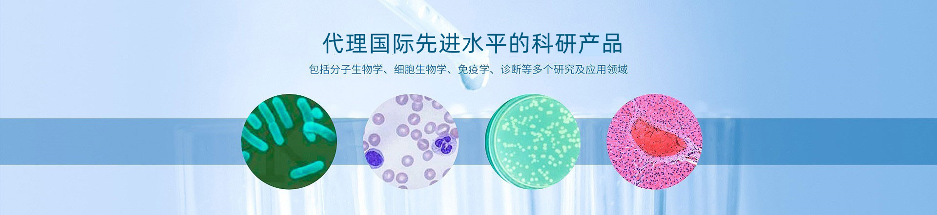 企業(yè)宣傳圖